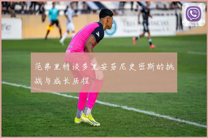 范弗里特谈多里安芬尼史密斯的挑战与成长历程