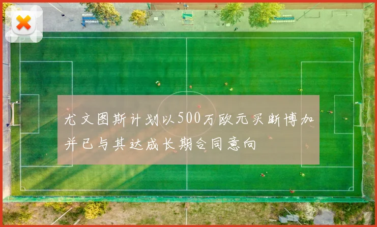 尤文图斯计划以500万欧元买断博加并已与其达成长期合同意向